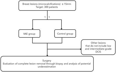 Exploring non-surgical alternatives for low to intermediate-grade in situ ductal carcinoma of the breast using vacuum-assisted excision: the VACIS protocol